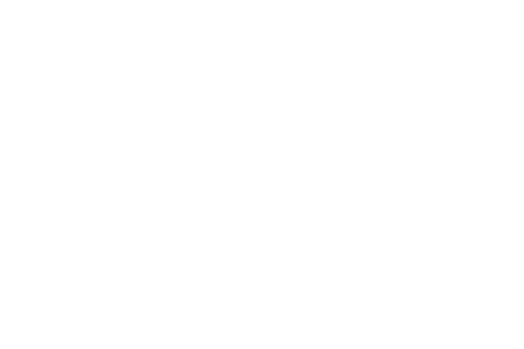 banti logo blanco